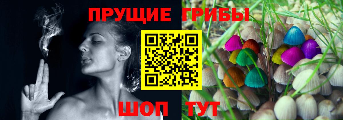 Псилоцибиновые грибы Psilocybine cubensis  Вход с VPN  Фролово  Псилоцибиновые грибы MAGIC MUSHROOMS 